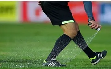 فغانی: اصفهانیان از برادرم می‌ترسد