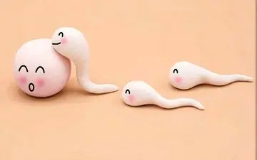 آیا با داشتن رابطه جنسی در روز آخر پریود امکان بارداری وجود دارد؟