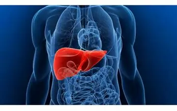 
۴ علامتی که نشان‌دهنده ابتلا به کبد چرب است