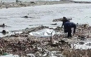 کشف یک جسد دیگر در پارس‌آباد