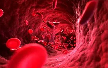 آشنایی با علائم آشکار گردش خون ضعیف