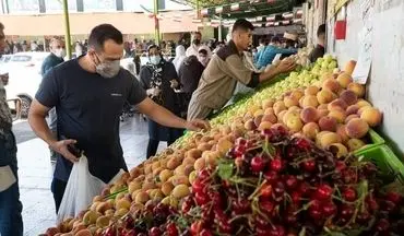 تازه‌ترین قیمت‌ انواع میوه در میادین میوه و تره بار اعلام شد