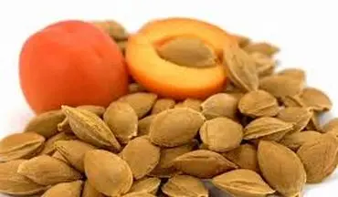 خطرات جبران ناپذیر مصرف هسته زردآلو!