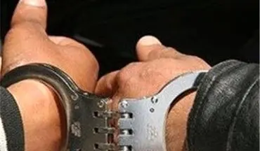 دستگیری باند کلاهبردارن 1800 میلیاردی با صدور ۱۸۶ فقره چک بلامحل



