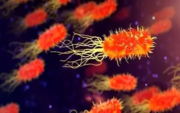 علائم خطرناک در "اسهال ویروسی" 