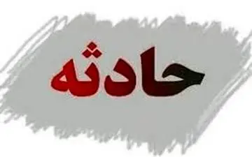 قتل با گلدان در مسعودیه تهران / قاتل 86 ساله است + جزییات