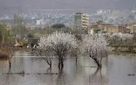 بارش شدید باران در 8 استان کشور/ احتمال وقوع سیل در برخی از شهرها