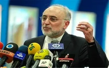  صالحی: بهتر است به برجام متعهد باشیم 