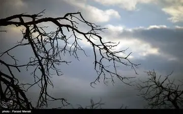 افزایش موقتی دمای هوا در نیمه شمالی کشور