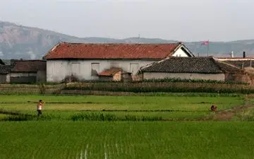 هشدار پیونگ‌یانگ درباره بحران مواد غذایی در کره شمالی