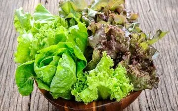  شکم و پهلوها را با این خوراکی ها آب کنید