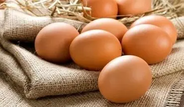 افزایش قیمت تخم مرغ دوباره رکورد زد! 