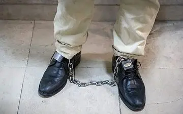 شیاد فراری به ایران بازگردانده شد