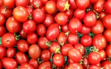 تست بینایی/  گیلاس رو در تصویر پیا کن  تاقدرت بینایی خودت رو محک بزنی!