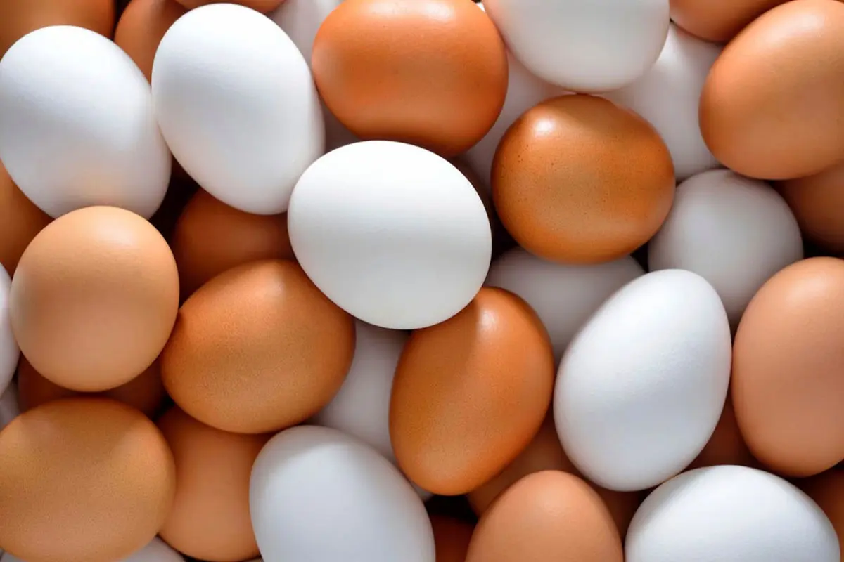 قیمت انواع تخم مرغ در بازار اعلام شد