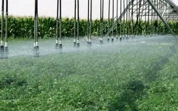 افتتاح ۲۴ پروژه کشاورزی با اعتبار ۴۳ میلیارد تومان در استان بوشهر