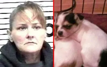 تکه تکه کردن وحشیانه سگ بخاطر بر ملا نشدن دروغ بارداری!