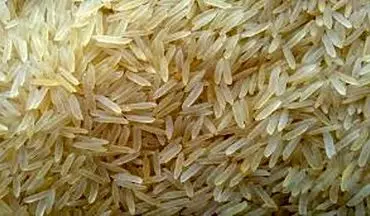 ورود مجلس به پرونده برنج آلوده/ احتمال تحقیق و تفحص از وزارت کشاورزی و بهداشت