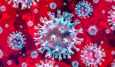 پیش بینی آینده ویروس کرونا در نواحی معتدل و مناطق گرمسیری
