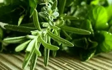 دانش‌آموزان برای تقویت حافظه‌شان رزماری مصرف کنند