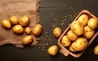 آیا سیب‌ زمینی باعث چاقی می‌شود؟ حقایق علمی درباره سیب‌زمینی و وزن
