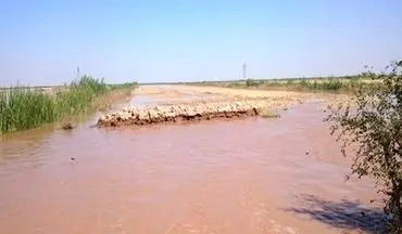 خسارت سیل به 200 خانه مسکونی در رودبار جنوب