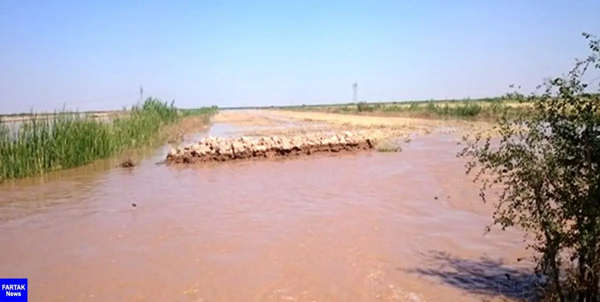 خسارت سیل به 200 خانه مسکونی در رودبار جنوب