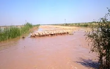 خسارت سیل به 200 خانه مسکونی در رودبار جنوب