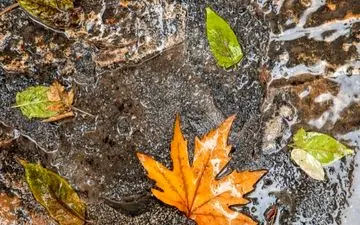 هواشناسی| ورود سامانه بارشی به کشور از دوشنبه