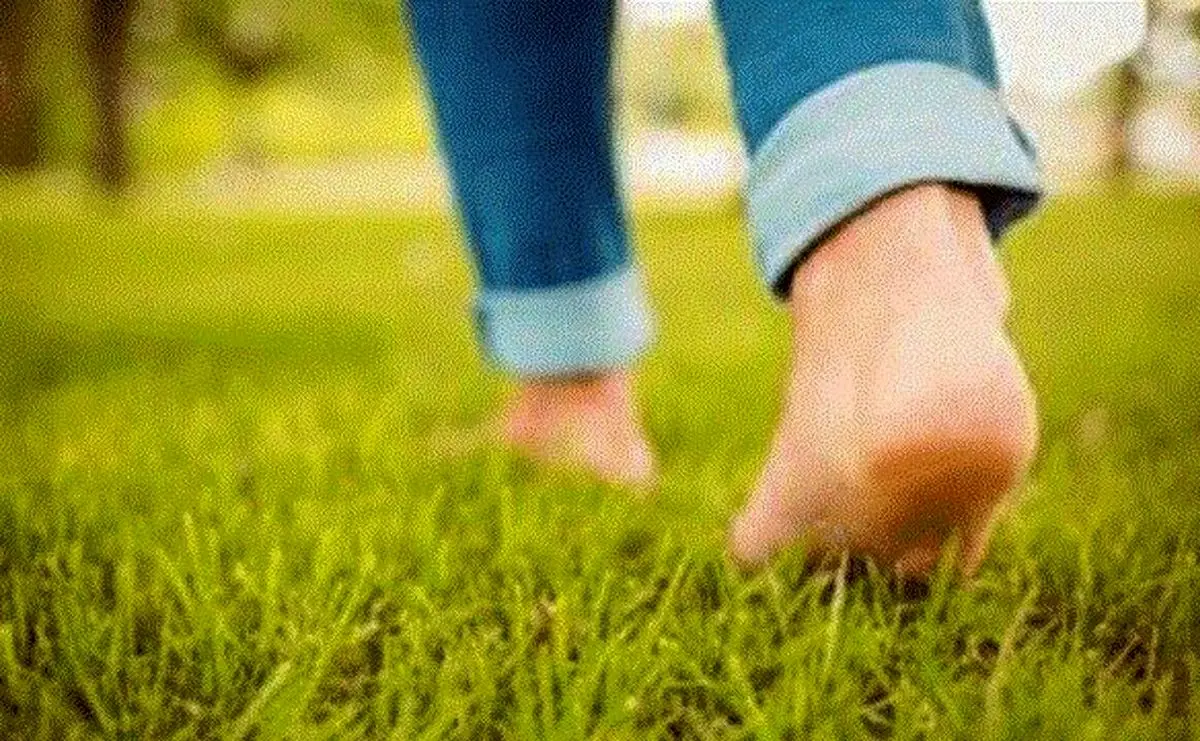 فقط قدم بزنید/ قند، کلسترول، وزن و استخوانها تنظیم میشود!