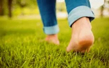 فقط قدم بزنید/ قند، کلسترول، وزن و استخوان‌ها تنظیم می‌شود!