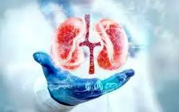 ۶ خوراکی فوق العاده برای کلیه

