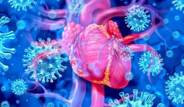 خطر پنهان ویروس‌های رایج: حمله به قلب و افزایش سکته!