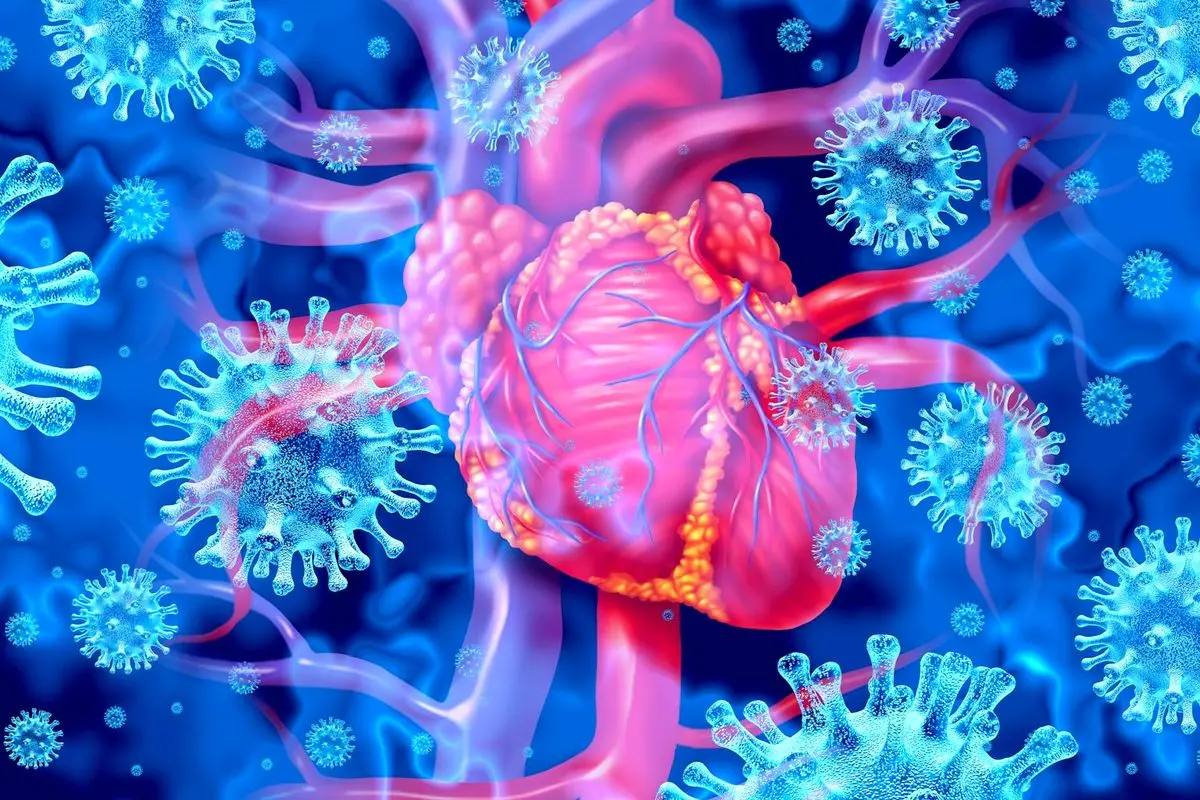 خطر پنهان ویروس‌های رایج: حمله به قلب و افزایش سکته!