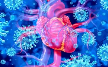 خطر پنهان ویروس‌های رایج: حمله به قلب و افزایش سکته!