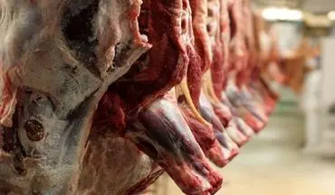 صادرات دام زنده عامل گرانی گوشت قرمز | آیا سرپرست وزارت جهادکشاورزی مشکل گوشت را حل می کند؟