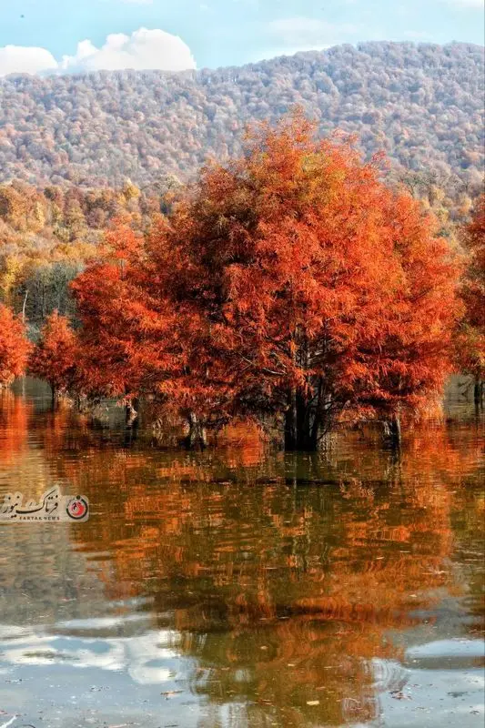 گزارش تصویری از جاده رویایی و دریاچه الندان در فصل پاییز مازندران