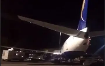 ورود یک موش به رمپ فرودگاه مشهد، پرواز را مختل کرد