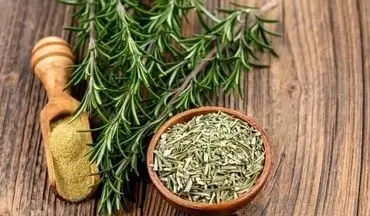 با این گیاه جای زخم ترمیم می‌شود و پوست بهبود می‌یابد