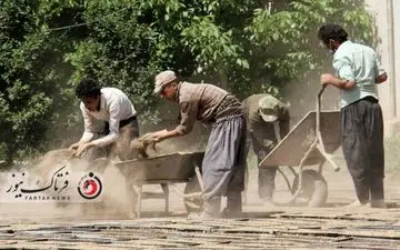 همراه با لنز فرتاک نیوز با گزارش تصویری گرفتن بذر نشاء