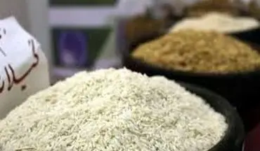 عرضه برنج‌های جدید ناجی بازار می‌شود؟