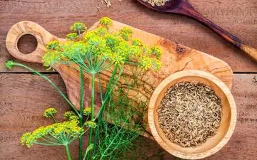 
۱۲ داروی گیاهی برای کشتن میکروب معده و هضم بهتر غذا