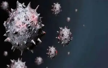 کشندگی ویروس آبله میمون چقدر است؟