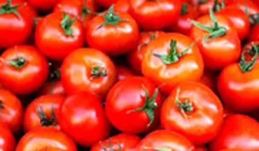  استاندار تهران: فقط گوجه فرنگی گران شده، کمی هم آهن