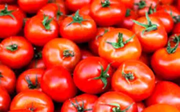  استاندار تهران: فقط گوجه فرنگی گران شده، کمی هم آهن