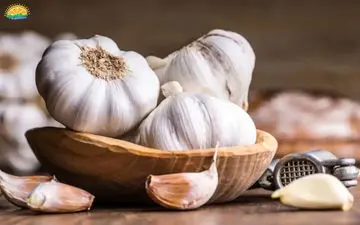 خواص و مضرات گذاشتن سیر در گوش چیست؟