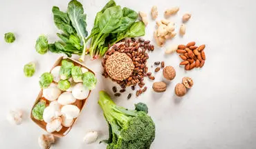4  منبع گیاهی غنی از پروتئین