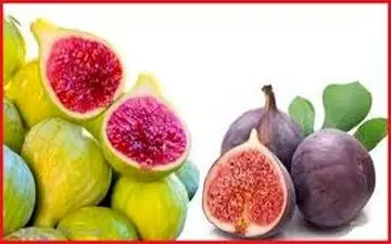 آشنایی با خواص شگفت انگیز انجیر