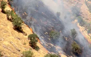  آتش سوزی جنگل های سرفیروزآباد کرمانشاه

   