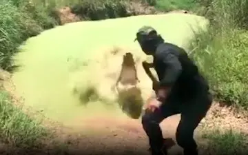 ماجراجویی عجیب کارشناس کروکودیل در مقابل یک برکه آرام!